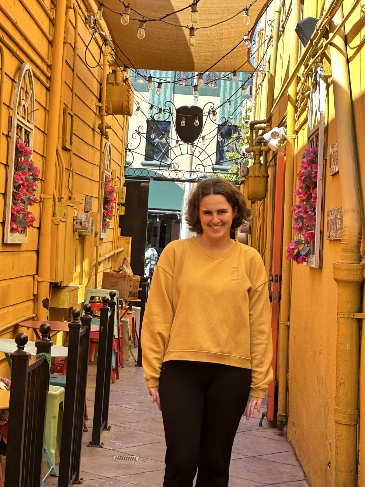 Ursula Collins-Laine